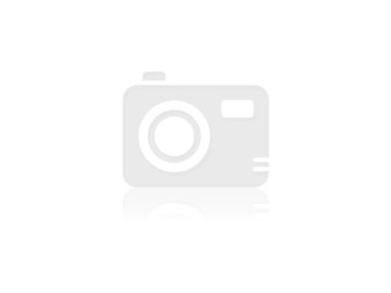 kittens-for-sale