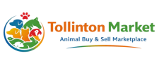 tollinton market